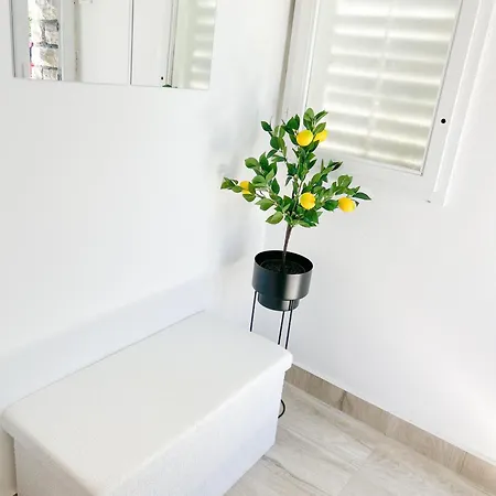 Rise Of Olympus Lejlighed *