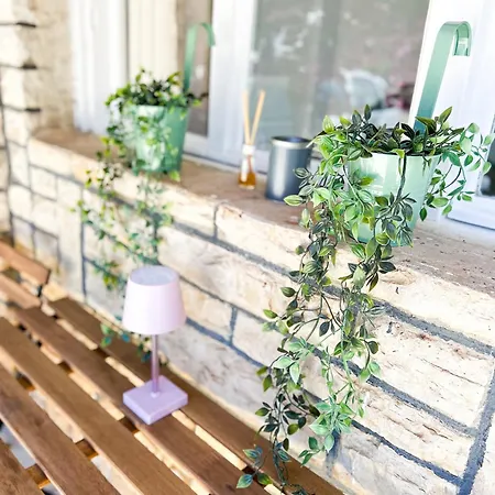 Lejlighed Rise Of Olympus