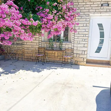 Rise Of Olympus * Zadar