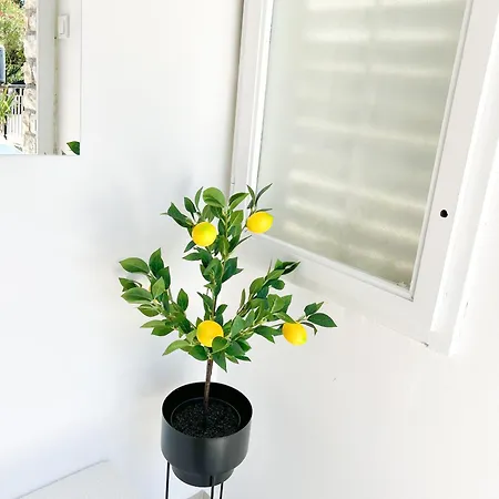 Rise Of Olympus Lejlighed