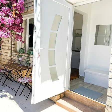 Rise Of Olympus Zadar