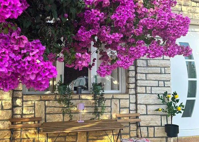 Rise Of Olympus Apartament *