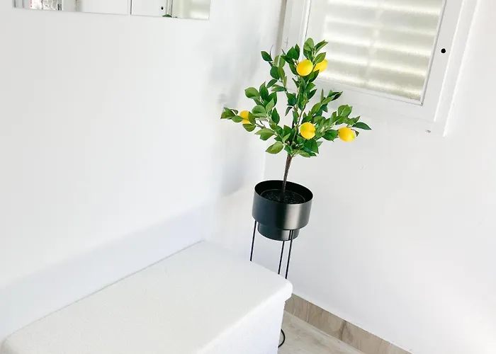 Rise Of Olympus Apartament *