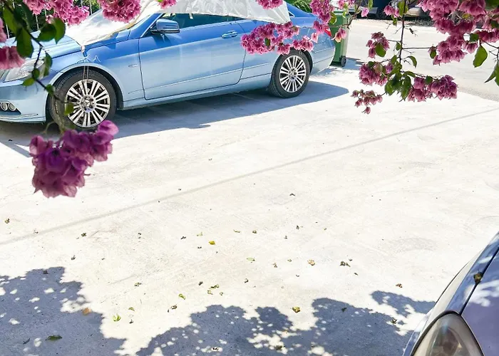 Rise Of Olympus Zadar