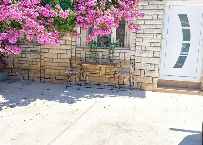 Rise Of Olympus * Zadar