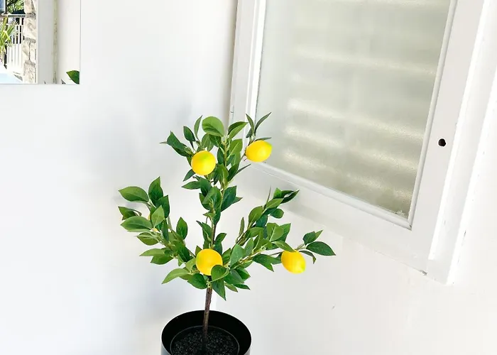 Rise Of Olympus Apartament